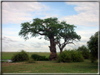 foto Parco nazionale del Chobe